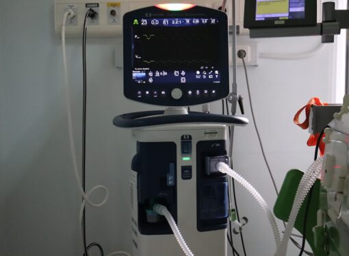 Revolutionary CAR T-Cell Therapy Enhances Gut Health in Aging Individuals