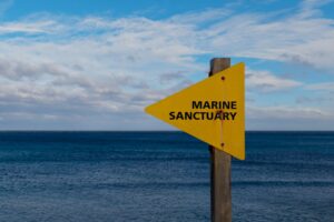 Breakthrough in Marine Conservation: Influencing Behavior Key to Success