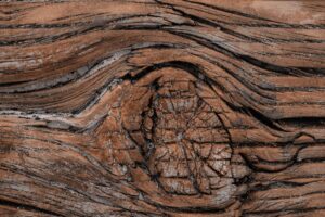 Scientists Discover Earth’s Tectonic Activity Began 3.5 Billion Years Ago