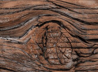 Scientists Discover Earth’s Tectonic Activity Began 3.5 Billion Years Ago