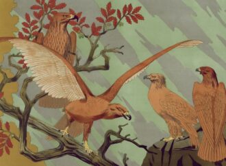 Scientists Recreate Dinosaur Nest to Unveil 70-Million-Year-Old Mystery